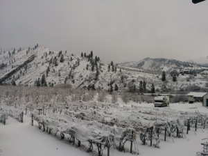 The next morning, the winery was blanketed in snow.